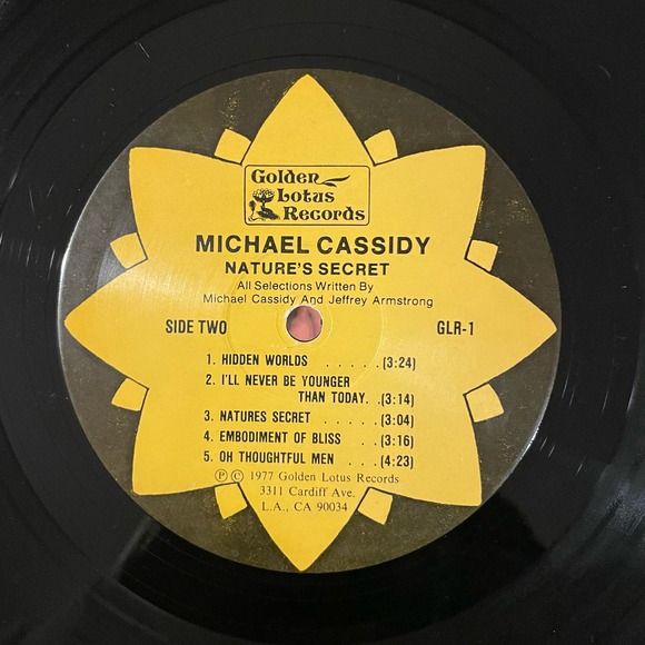 Michael Cassidy - Nature's Secret LP vintage vinyl record - Picture 3 of 4